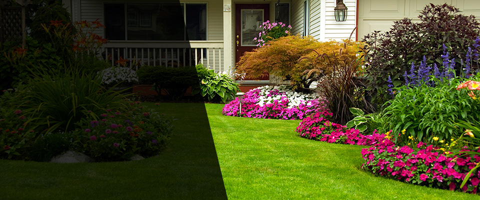 Peculiar Landscapers